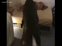 Girl rubbing her cum-hole having dog animal sex